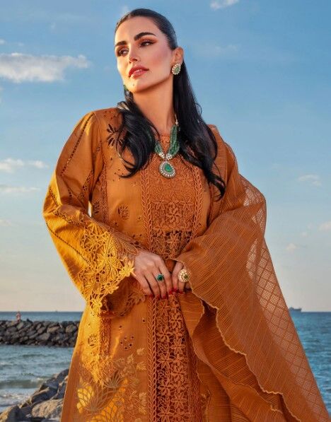 LWN2 Elegant Schiffli embroidered dress with intricate floral patterns and lace detailing.